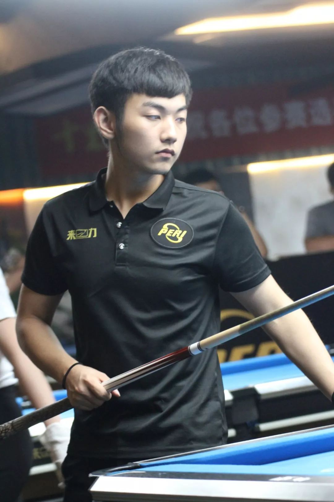 补贴的推动 补贴的推动