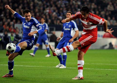 专家们的预 专家们的预