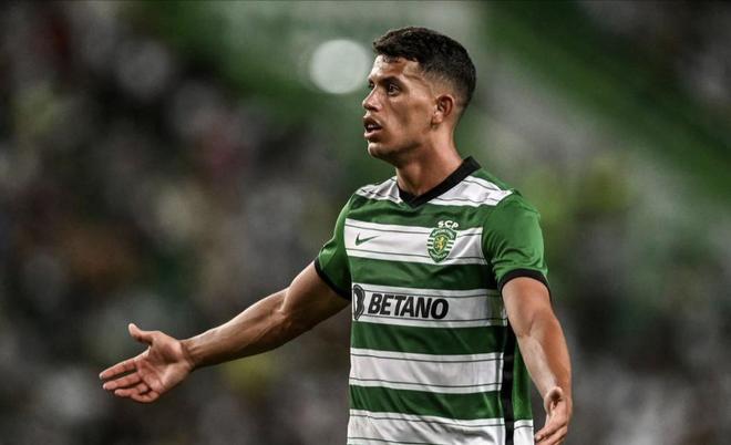 段职业生涯 段职业生涯